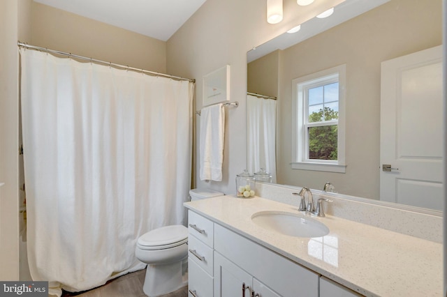 40928 Arcadian Pond Ct, Aldie, VA 20105 - full bath with toilet and vanity