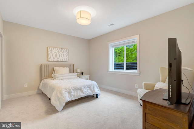 40928 Arcadian Pond Ct, Aldie, VA 20105 - bedroom with baseboards and light carpet
