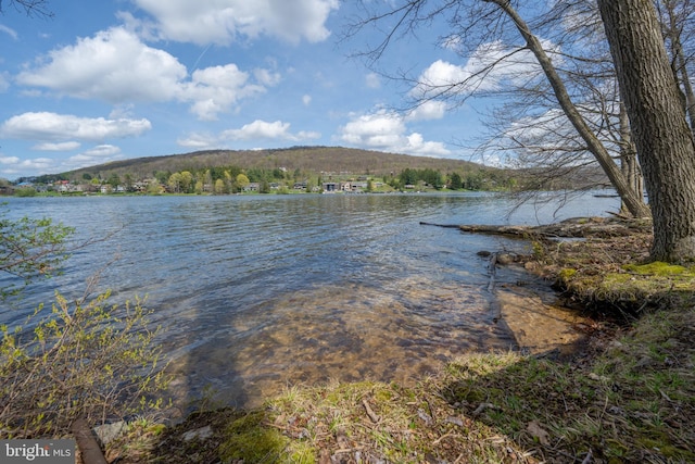 1321 Marsh Hill Rd, Mc Henry, MD 21541 - water view featuring a forest