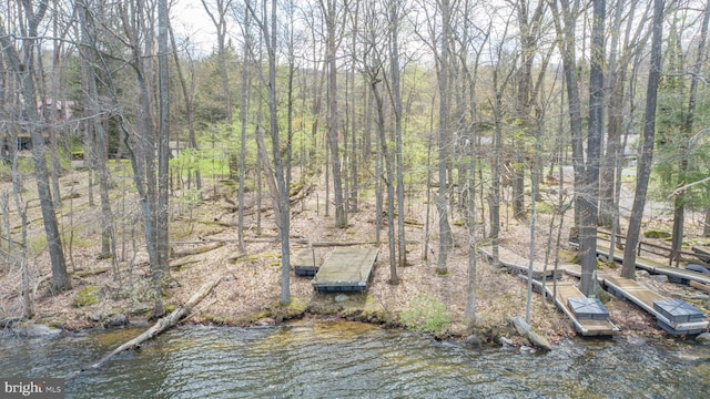 1321 Marsh Hill Rd, Mc Henry, MD 21541 - view of nature