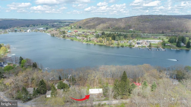 1321 Marsh Hill Rd, Mc Henry, MD 21541 - aerial view of property's location with a large body of water and a heavily wooded area