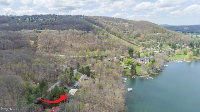 1321 Marsh Hill Rd, Mc Henry, MD 21541 - aerial view of property's location with a forest and a nearby body of water