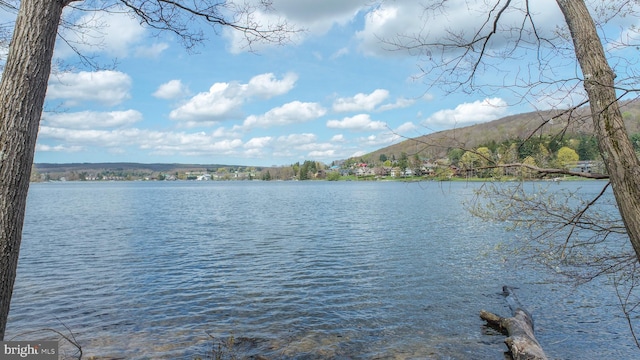 1321 Marsh Hill Rd, Mc Henry, MD 21541 - water view featuring a mountainous background