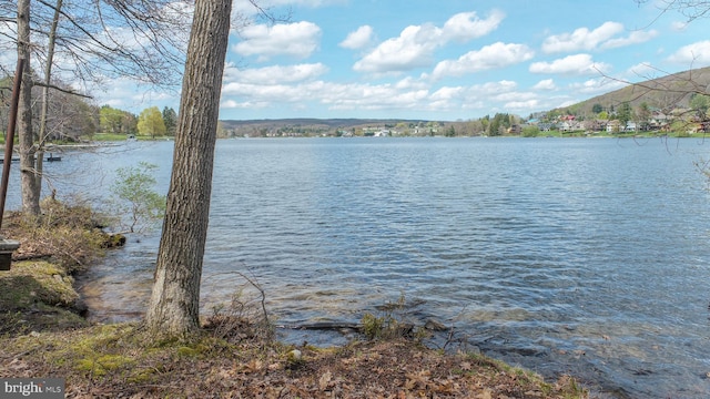 1321 Marsh Hill Rd, Mc Henry, MD 21541 - water view