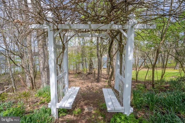 1321 Marsh Hill Rd, Mc Henry, MD 21541 - view of yard