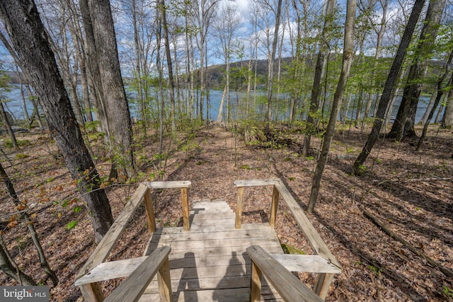 1321 Marsh Hill Rd, Mc Henry, MD 21541 - view of yard with a water view