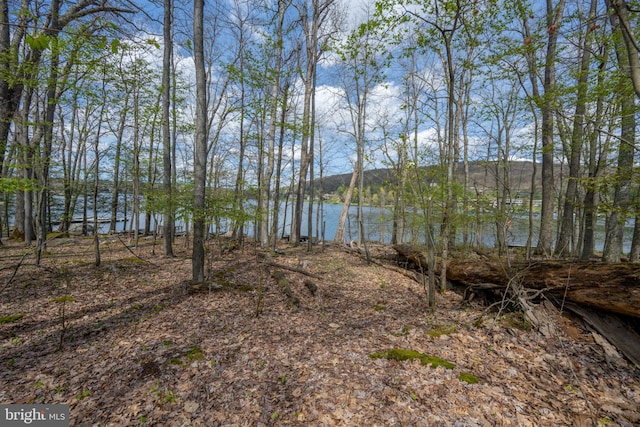 1321 Marsh Hill Rd, Mc Henry, MD 21541 - water view