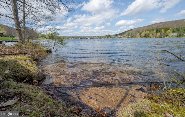 1321 Marsh Hill Rd, Mc Henry, MD 21541 - water view