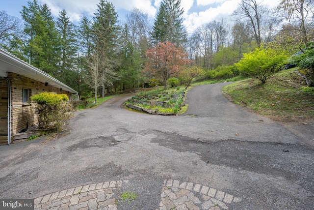 1321 Marsh Hill Rd, Mc Henry, MD 21541 - view of road