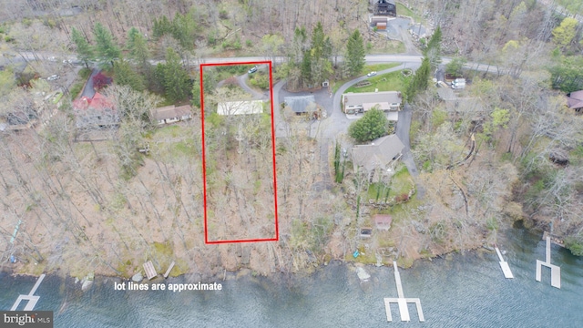 1321 Marsh Hill Rd, Mc Henry, MD 21541 - aerial overview of property's location with property boundaries highlighted and a nearby body of water