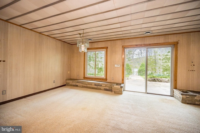 1321 Marsh Hill Rd, Mc Henry, MD 21541 - carpeted empty room featuring healthy amount of natural light and wooden walls