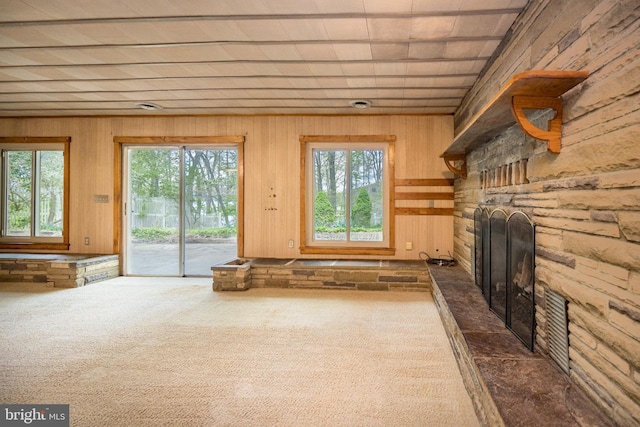 1321 Marsh Hill Rd, Mc Henry, MD 21541 - unfurnished living room with a stone fireplace, wood walls, and dark carpet