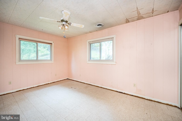 1321 Marsh Hill Rd, Mc Henry, MD 21541 - spare room with healthy amount of natural light, ceiling fan, carpet floors, and baseboards