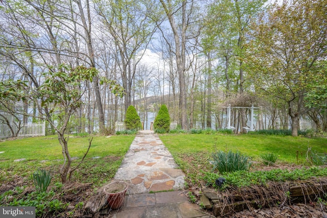 1321 Marsh Hill Rd, Mc Henry, MD 21541 - view of yard