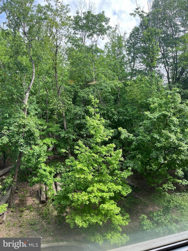 view of local wilderness