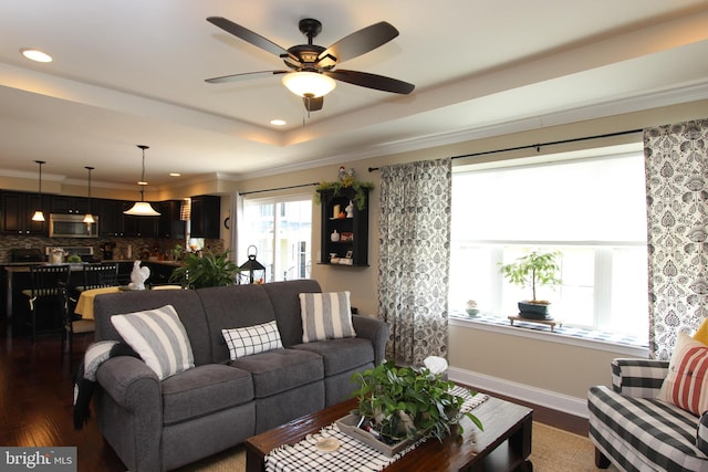living area with ornamental molding, a raised ceiling, ceiling fan, and dark wood finished floors