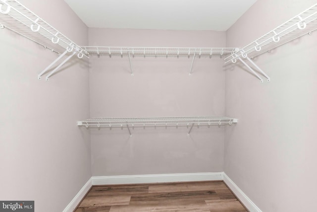 walk in closet featuring wood finished floors