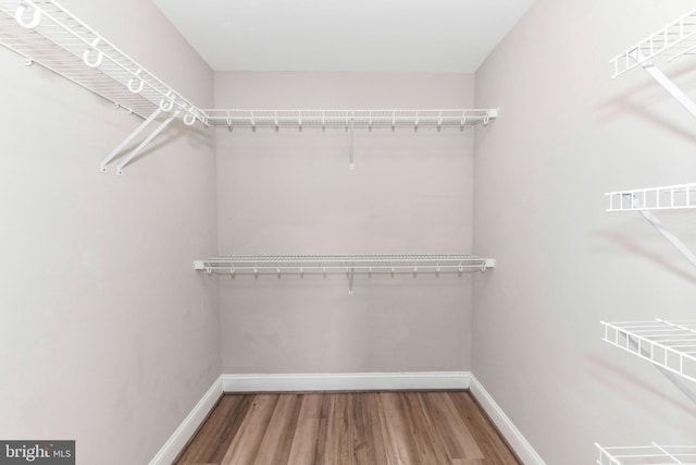 walk in closet with wood finished floors