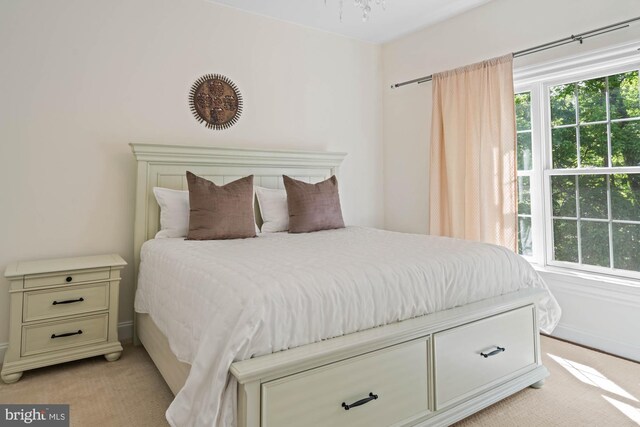 696 Miller Ave, Great Falls, VA 22066 - bedroom featuring light colored carpet and multiple windows