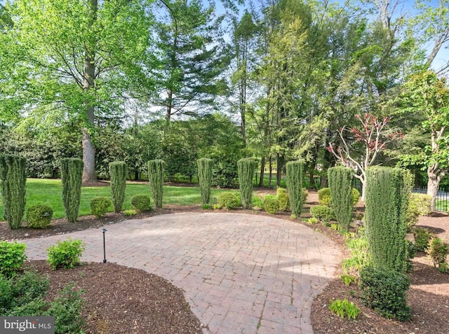 696 Miller Ave, Great Falls, VA 22066 - view of community featuring a patio area