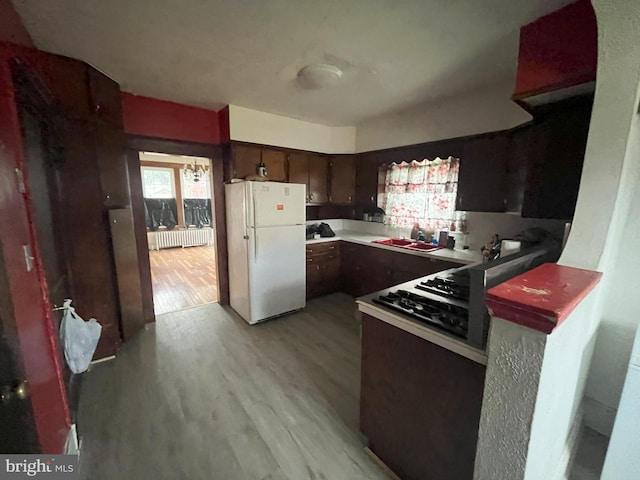 3314 Egerton Rd, Baltimore, MD 21215 - kitchen featuring dark brown cabinetry, a sink, light wood finished floors, radiator heating unit, and freestanding refrigerator