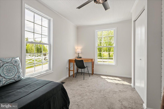 bedroom featuring carpet floors, ornamental molding, and multiple windows