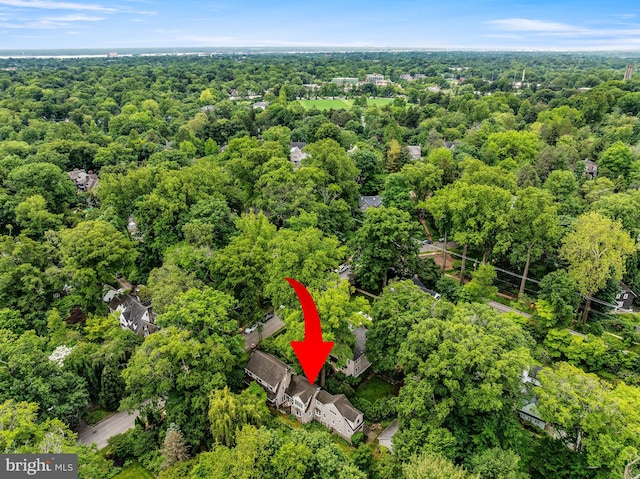 241 Ogden Ave, Swarthmore, PA 19081 - drone / aerial view of a heavily wooded area