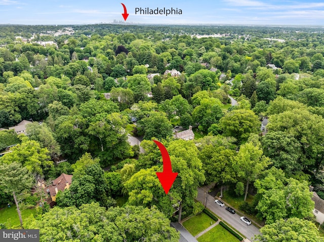 241 Ogden Ave, Swarthmore, PA 19081 - aerial view of a forest
