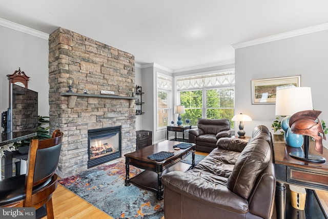 living room featuring a fireplace, ornamental molding, and wood finished floors