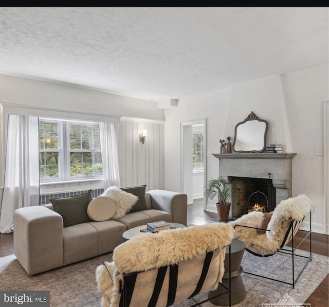 living room featuring a textured ceiling, a large fireplace, and wood finished floors