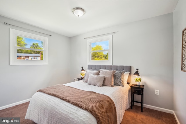 bedroom featuring carpet floors, baseboards, and multiple windows