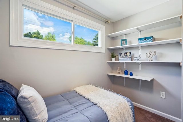 bedroom featuring carpet floors and baseboards