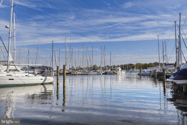 dock area featuring a water view