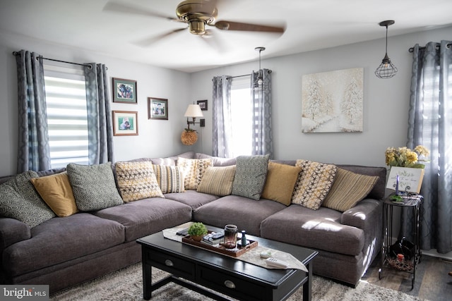 living room with a ceiling fan and wood finished floors