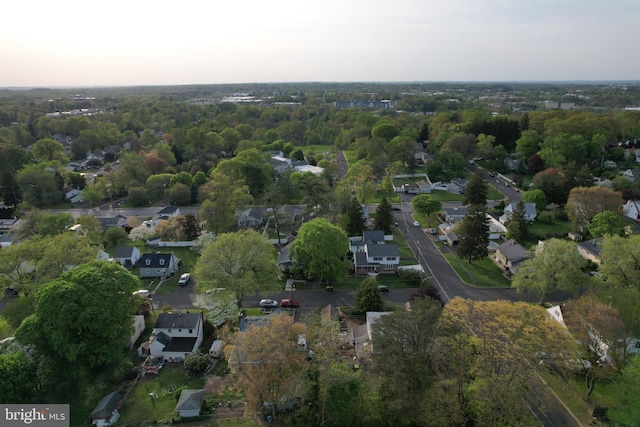 bird's eye view