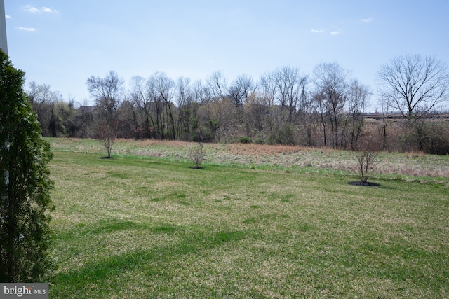 view of yard featuring a rural view