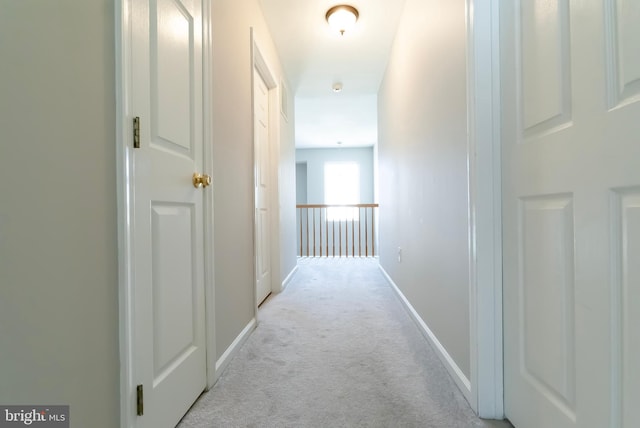 14 Wyndham Ct, Bordentown, NJ 08505 - hall featuring light carpet and baseboards