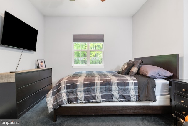 1982 Whyte Ln, Spring Grove, PA 17362 - view of carpeted bedroom