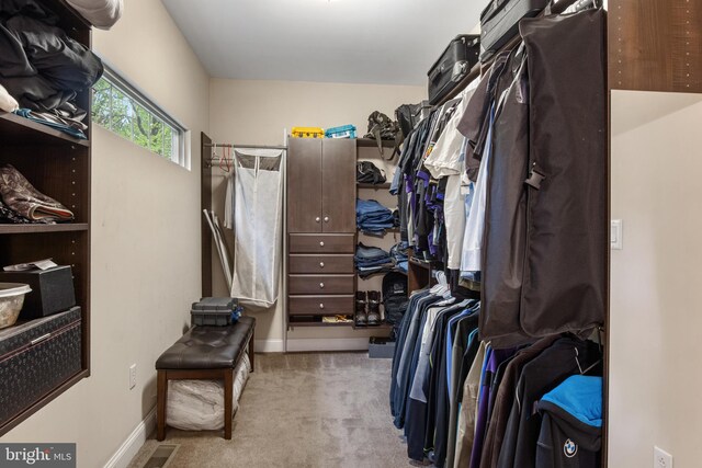 1982 Whyte Ln, Spring Grove, PA 17362 - spacious closet featuring carpet floors