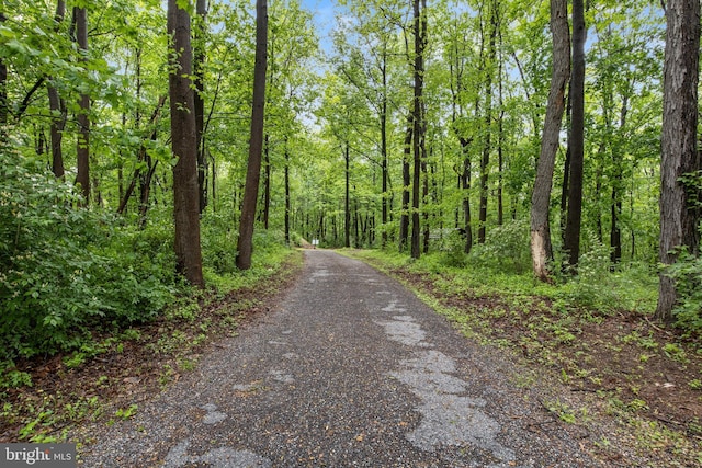 1982 Whyte Ln, Spring Grove, PA 17362 - view of street featuring a view of trees