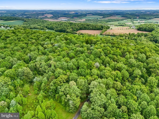 1982 Whyte Ln, Spring Grove, PA 17362 - aerial view of a forest