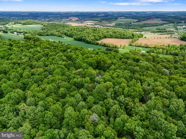 1982 Whyte Ln, Spring Grove, PA 17362 - drone / aerial view of a heavily wooded area and a large body of water