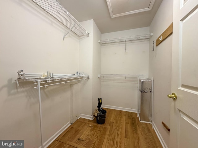 359 Towpath Ln, Pine Grove, PA 17963 - spacious closet featuring attic access and wood finished floors
