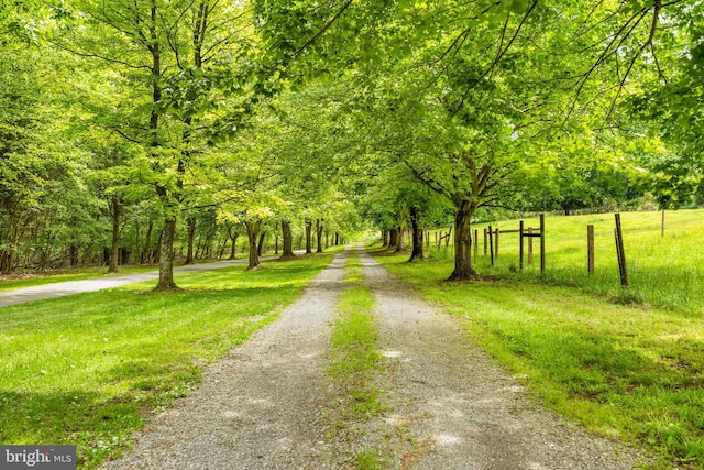 view of property's community featuring driveway, a wooded view, and a yard