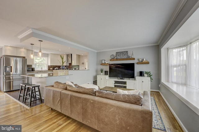 living room featuring ornamental molding, wood finished floors, and baseboards
