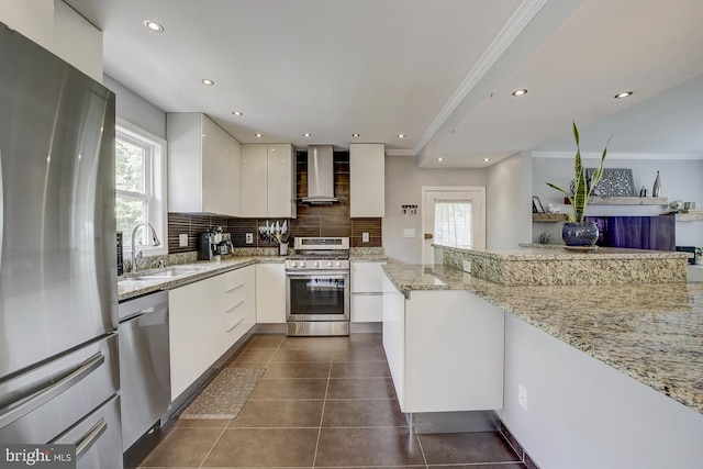 kitchen with appliances with stainless steel finishes, wall chimney range hood, a sink, modern cabinets, and tasteful backsplash