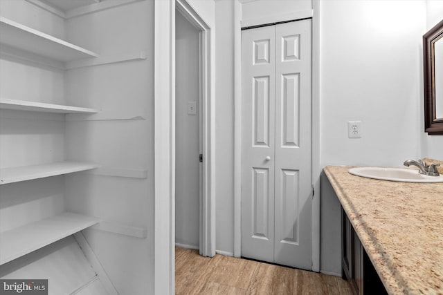 bathroom featuring a closet, wood finished floors, and vanity