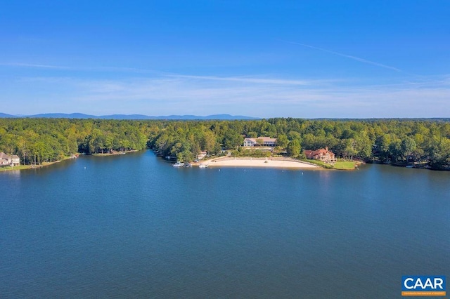 water view featuring a forest view