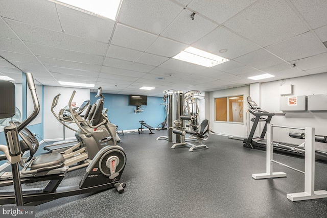 workout area with baseboards and a paneled ceiling