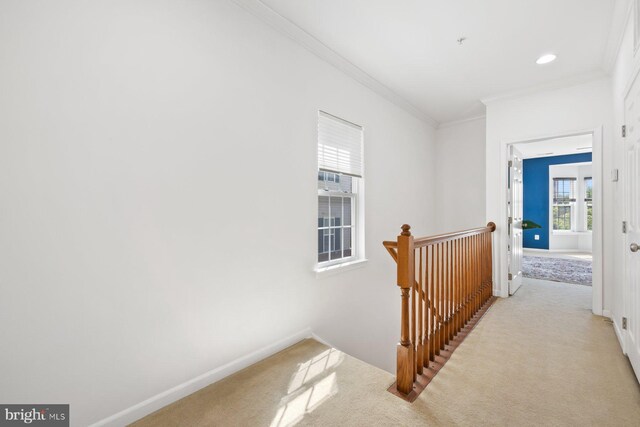 hallway with crown molding, baseboards, carpet flooring, and an upstairs landing